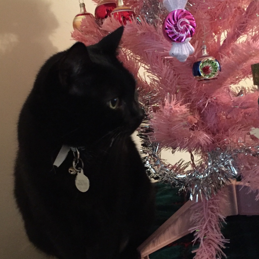 Gayle Posh Ambassador 😊👛👠👗💄🎀🎉🎈